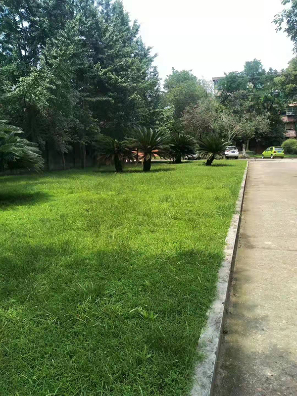 GUANGFA.COM